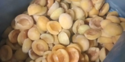 Vendo cerezas frescas congeladas cosecha 2025 muy buena calidad