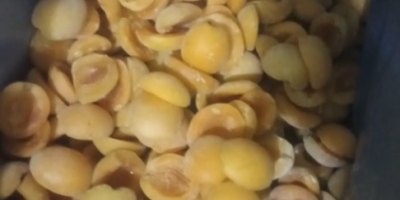 Vendo cerezas frescas congeladas cosecha 2025 muy buena calidad