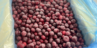 Vendo cerezas frescas congeladas cosecha 2025 muy buena calidad
