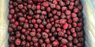 Vendo cerezas frescas congeladas cosecha 2025 muy buena calidad