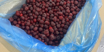 Hay cerezas orgánicas frescas y jugosas Precio con entrega