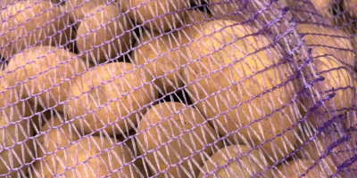 Patatas jóvenes polacas: Riviera, calibre 5.5+, palés de 15