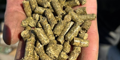 Los pellets de alfalfa son un alimento animal de