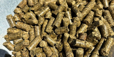 Los pellets de alfalfa son un alimento animal de
