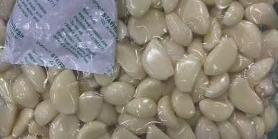 Somos proveedores de ajo fresco, ajo pelado, cebolla, chile