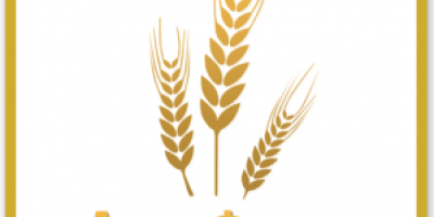 LLC “AGRO FOND” FCA 80-600 Brody, Ucrania Proteína de