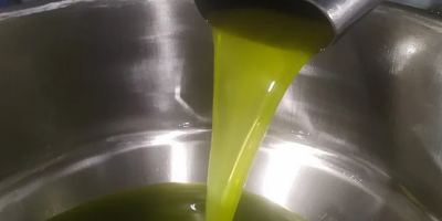 Aceite de oliva orgánico transparente de Túnez: venta al