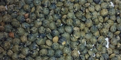 La Planta de Productos de Pan Tiraspol CJSC comercializa