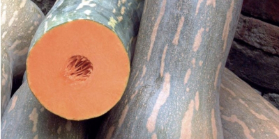 Calabazas certificadas