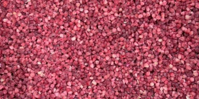 Frambuesa 95/5 - congelada, 10 kg, caja de cartón.