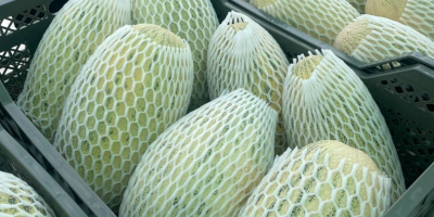 Exportación de melón fresco de Uzbekistán 1 kg -