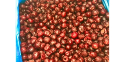 Cerezas congeladas sin hueso calibre 14+ ❄ — cosecha