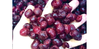 Cerezas congeladas sin hueso calibre 14+ ❄ — cosecha