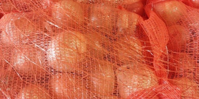 Disponemos de 22 toneladas de cebollas amarillas a la