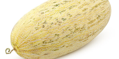 Melones Uzbekos – Mirza (Torpedo) | Miel Blanca |