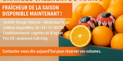 Raees Group presenta la naranja: ¡una fruta deliciosa con