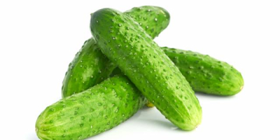 Nos interesa adquirir 100 toneladas de pepinos para los