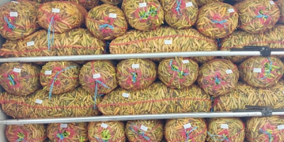 De agosto a octubre, ofrecemos pimiento rojo kapia para