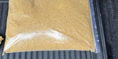 Vendo DDGS (Granos secos de destilería con solubles) –