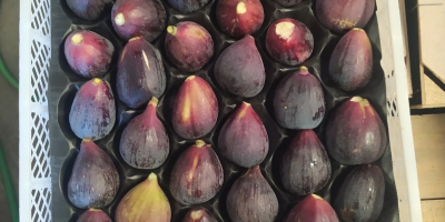 Vendo higos naturales confeccionados y refrigerados. Si está interesado,
