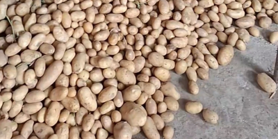 Vendo papas de Arizona. Cosecha 2025. Detalles en el
