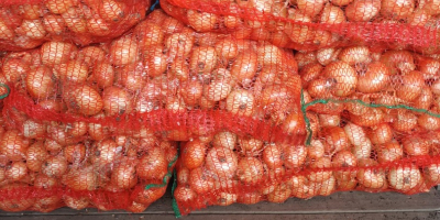 Vendo cebollas de verdeo empacadas en bolsas de 25