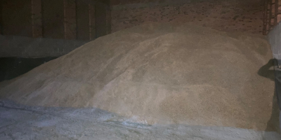 Vendo avena organica, aproximadamente 150 toneladas.
