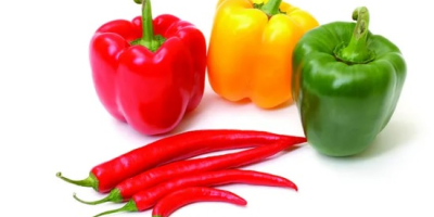 Pimiento dulce de todo tipo congelado IQF y pimiento