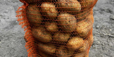 Hola, vendo patatas comestibles, variedad denar, precio 1,20 PLN