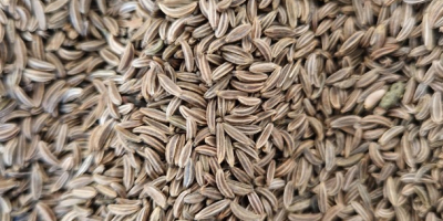 Origen y experiencia: Soy un agricultor polaco con amplia