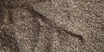 Origen y experiencia: Soy un agricultor polaco con amplia