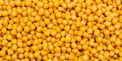Vendo guisantes orgánicos, todos los detalles por número de
