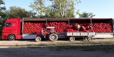 Oferta de pimientos rojos frescos. &quot;Bašta i špajz&quot; Ltd.