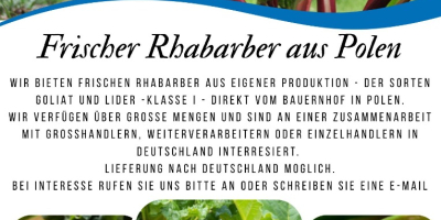 Vendemos ruibarbo Goliat. Envíos a Alemania disponibles. Persona de