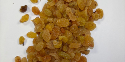 Vendemos pasas amarillas doradas en cajas de 10 kg,
