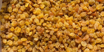 Vendemos pasas amarillas doradas en cajas de 10 kg,