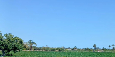 Nuestra empresa, ubicada en Elche, se especializa en el
