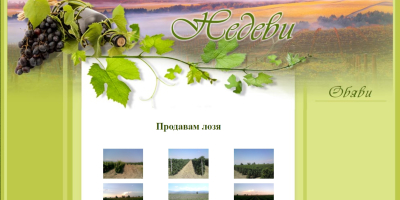 Moscatel, Chardonnay - a partir del 1.09.25 Merlot -