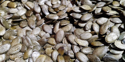Hola. Nuestra empresa produce semillas de calabaza con una