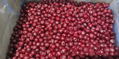 Vendo cerezas ácidas IQF, clase I, sin hueso, en