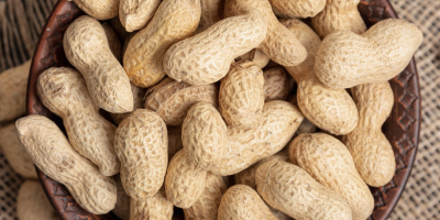 Cacahuetes con cáscara - Venta al por mayor, entregas