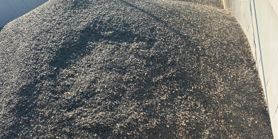Vendo 1000 semillas de girasol, con un contenido de