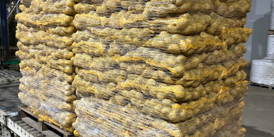 Empresa de importación y exportación con sede en Rumanía