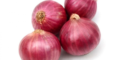 Las cebollas rojas orgánicas alivian diversas enfermedades, como el