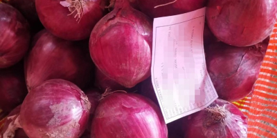 Las cebollas rojas orgánicas alivian diversas enfermedades, como el
