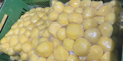 Ofrecemos verduras frescas de primera calidad, peladas y envasadas