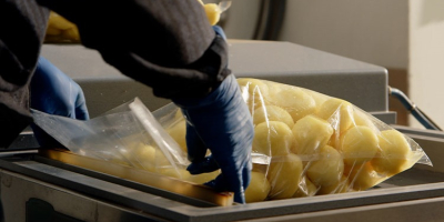 Ofrecemos verduras frescas de primera calidad, peladas y envasadas