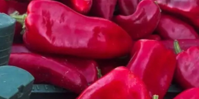 Frutas y verduras frescas directamente de productores turcos: ¡los
