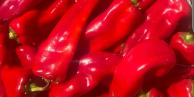 Frutas y verduras frescas directamente de productores turcos: ¡los