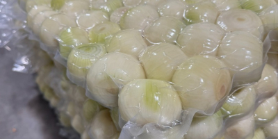 1. Cebollas frescas peladas - blancas y rojas -